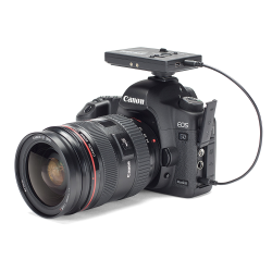 SAMSON Go Mic Mobile Label Mic System for Streaming &amp; Recording