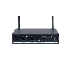 Fitness Audio DX6 2.4Ghz Digital Wireless Mic System